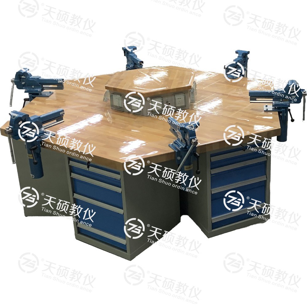TSBTQG-3型 鉗工技能實訓平台（六角六工位）